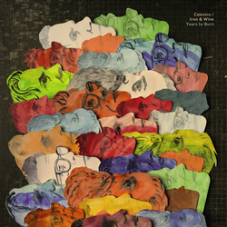 Calexico & Iron & Wine Years To Burn  LP Download