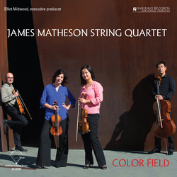 James Matheson String Quartet Color Field Vinyl LP