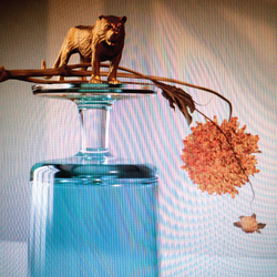 Beirut Gallipoli  LP