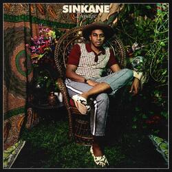 Sinkane Depayse Vinyl LP