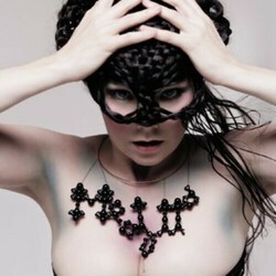 Bjork Medulla  LP