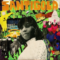 Santigold I Don'T Want: The Gold Fire Sessions  LP