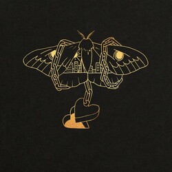 David Gray Gold In A Brass Age 2 LP 180 Gram