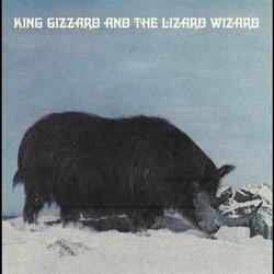 King Gizzard & The Lizard Wizard Polygondwanaland  LP 180 Gram White Colored Vinyl