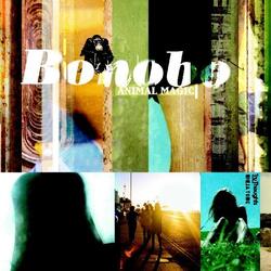 Bonobo Animal Magic 2 LP Yellow Vinyl Download