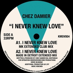 Chez Damier I Never Knew Love 12INCH SINGLE