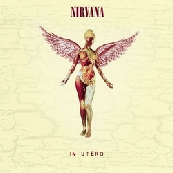 Nirvana In Utero 20Th Anniversary Edition 3 LP 180 Gram 45Rpm 2 LP Plus Bonus 33 1/3  LP Of Remastered B-Sides And Bonus Tracks