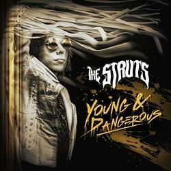 The Struts Young&Dangerous Vinyl LP