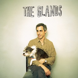 The Glands I Can See My House From Here 5 LP Colored Vinyl 42-Page Book