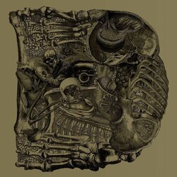 Boris Dear 2 LP Gatefold Download Insert