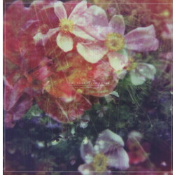 The Stargazer Lilies We Are The Dreamers  LP Picture Disc
