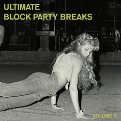 Ultimate Block Party Breaks Vol. 5  LP