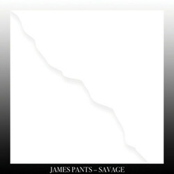 James Pants Savage  LP Download