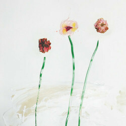 Dot Hacker N-¦3  LP