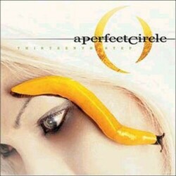 A Perfect Circle Thirteenth Step 2 LP