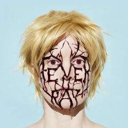 Fever Ray Plunge Deluxe Edition 2 LP 180 Gram 2 Posters Download Gatefold With Blood Red Gel Outer Sleeve