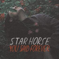 Star Horse You Said Forever  LP Import