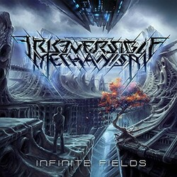 Irreversible Mechanism Infinite Fields  LP