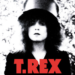 T. Rex The Slider  LP