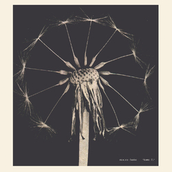 Maxine Funke Home Fi  LP Limited To 400