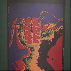 Genghis Tron Signal Fire Vinyl LP