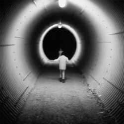 Mary Lattimore & Jeff Zeigler Music Inspired By Philippe Garrel'S Le Revelateur Soundtrack  LP Printed Inner Sleeve Download Limited