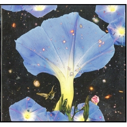 Sarah Louise (5) Nighttime Birds And Morning Stars