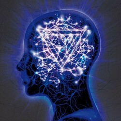 Enter Shikari The Mindsweep  LP