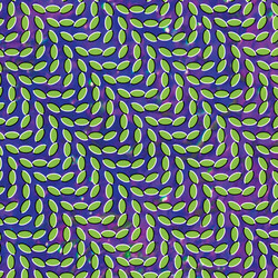 Animal Collective Merriweather Post Pavilion 2  LP 180 Gram With Download Insert