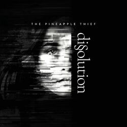 The Pineapple Thief Dissoultion  LP 180 Gram 4-Page Booklet