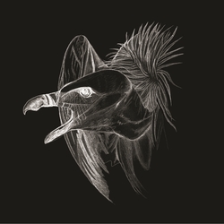 Buried At Sea Migration 2 LP Gatefold D-Side Etching