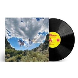 Nate Mercereau Fantastic Thoughts Vinyl LP
