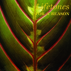 Lifetones For A Reason  LP Gatefold Essay Download