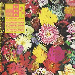 Ra Ra Riot Superbloom Vinyl LP