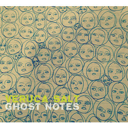 Veruca Salt Ghost Notes 2 LP