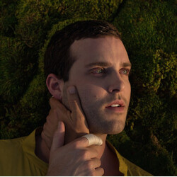 Baths Romaplasm Vinyl LP