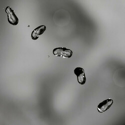 Peter Gabriel Up 2 LP 33 Rpm