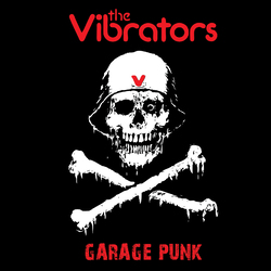 The Vibrators Garage Punk  LP Pink Vinyl Limited