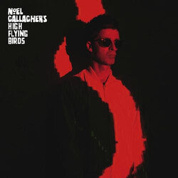 Noel Gallagher's High Flying Birds The Dying Of The Light (Demo) Vinyl USED