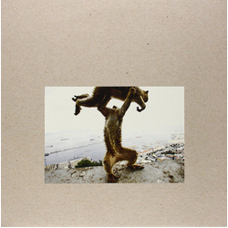 Shellac Dude Incredible VINYL LP