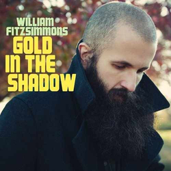 William Fitzsimmons Gold In The Shadow VINYL LP
