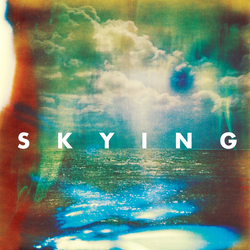 The Horrors Skying VINYL 2LP