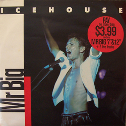 Icehouse Mr Big VINYL LP