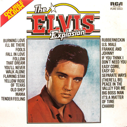 Elvis Presley The Elvis Explosion VINYL LP