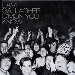 Liam Gallagher C'mon You Know VINYL LP