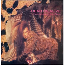 Dead Or Alive Sophisticated Boom Boom VINYL LP