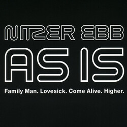 Nitzer Ebb As Is VINYL 12" USED