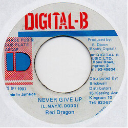 Red Dragon Never Give Up USED VINYL 7INCH 45 RPM