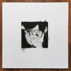 Gross Net Gross Net Means Gross Net Vinyl LP USED