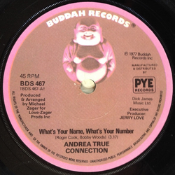 Andrea True Connection What's Your Name, What's Your Number Vinyl 7" USED